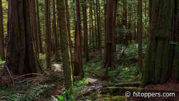 How to Prepare for a Photography Workshop