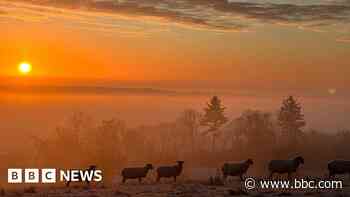 Sunrises, sheep and icicles captured by you