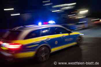 Betrunkener Fahrer flüchtet nach Unfall zu Fuß