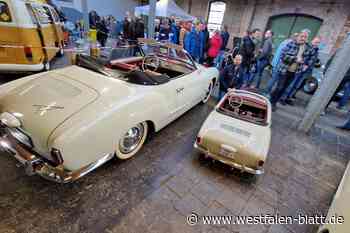 VW-Veteranen mit dem gewissen Extra