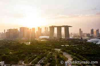 Eight cities’ urban forests rated – only Singapore passed the canopy test
