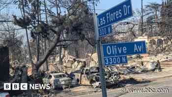Agony on West Las Flores: LA inferno razes entire street