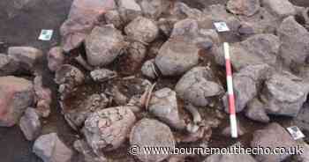 Massive Roman pottery site near Poole to be featured on TV show