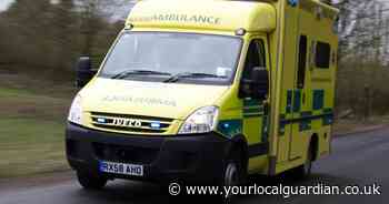 The south London ambulance handover delays for each hospital trust