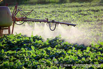 Syngenta to use 'full power of AI' for new biostimulants