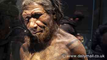 Scientists reveal what Neanderthal penises looked like - and what sex with the ancient species was really like