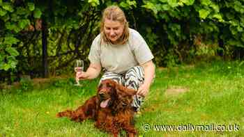 How dogs could save wine production threatened by disease