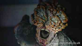 California wildfires could make 'The Last of Us' a REALITY: Scientists warn blazes could spread deadly fungal spores beyond their natural habitats - and say they could infect humans