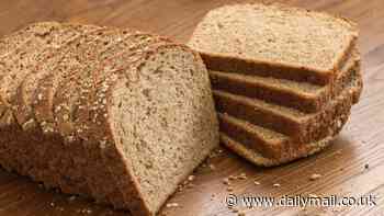 Fancy a pork pie made from bread crusts? Scientists show how wasted dough can be fermented to be used in new dishes