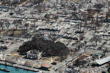 Maui County names new deputy managing director