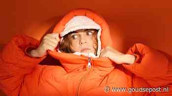 Programma PopMonument Gouda compleet: muziek, films en culinaire wandeling