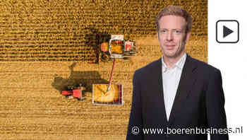 Aanbod maïs is krapper door kleinere oogst in de VS