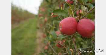 Oogst Tessa appel neemt elk jaar toe in Spanje