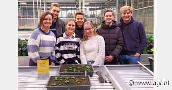 Studenten werken aan het optimaliseren van vroege aardappelteelt