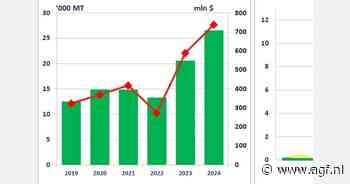 Export van Egyptische druiven naar Duitsland bereikt recordhoogte