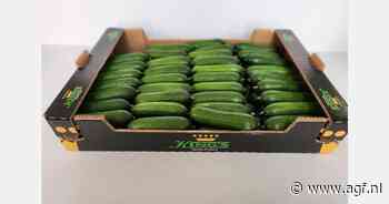 "De vlam slaat nu al in de pan met de kasgroentenprijzen"