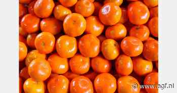 RASFF: Dimethoaat op mandarijnen uit Marokko