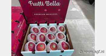 "Mango en avocado kampen met lage prijzen, maar markt vindt altijd een evenwicht"