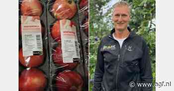 "Goede volumes verwacht voor Zuid-Afrikaans steenfruit"