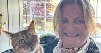 Wirral cat sitting business named as one of UK’s top franchises