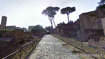 Colosseo: al via le potature delle “sentinelle verdi” dell’Arco di Tito