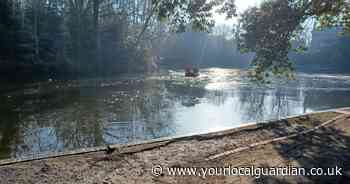 Two dogs and man rescued from frozen lake at popular south London park