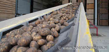 Kijk niet naar categorie 1, maar naar de rassen