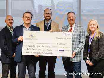 Kingston doctors' projects receive $50k in grants for innovation