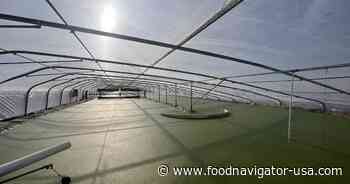 Plantible Foods aims for profitability in 2025 with focus on ‘hardcore execution’