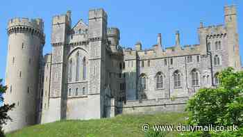 Bizarre 'castlecore' sex trend surges in popularity, new report reveals - experts warn of serious health risks