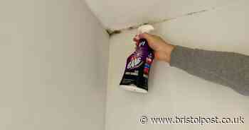 I effortlessly removed black mould with product '10 times better than bleach'