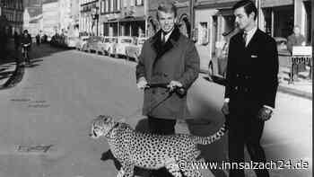 Seit vier Jahren tot: So steht es um das Gedenken an den Rosenheimer Magier Siegfried Fischbacher