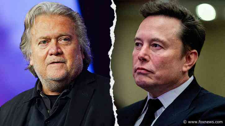 Trump ally Steve Bannon pledges to 'take... down' Elon Musk