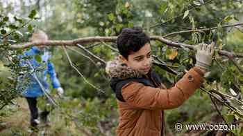 Met Twiskespeurders de boom in