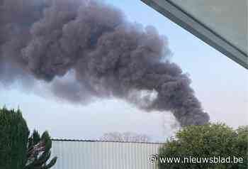 Zware brand in industriezone in Arendonk: rookpluim van ver te zien