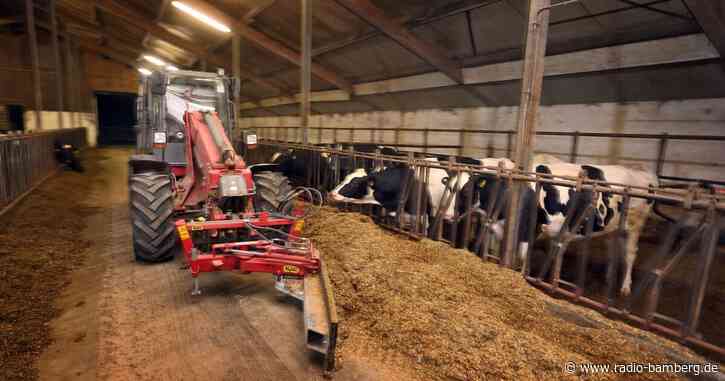 Sorge wegen Maul- und Klauenseuche «Angst ist riesig»