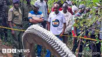 How a freak space junk crash baffled residents and sparked concern