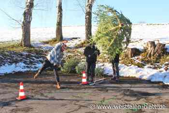 Kalletal: Justin Bilstein wirft den Weihnachtsbaum am weitesten