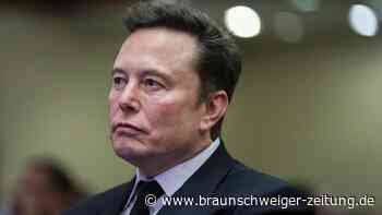 Fake-Gamer? Elon Musk soll in beliebtem Spiel betrogen haben