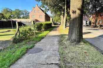 Genk krijgt nieuwe ontmoetingszaal, snel interventieteam voor kleine gebreken en GAS-boetes vanaf 14 jaar