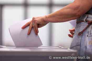 Bundestagswahl im Kreis Höxter: Wahlkampf geht in heiße Phase