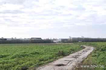 Groen licht voor aanleg wegenis in nieuwe bedrijvenzone Op ’t Reeck III