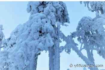 Double Digit Sub-Zero Temperatures Expected In SE Wyoming