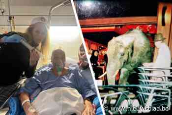 Olifant aan de toog en kameel als caddy: flamboyante horecabaas moet bekende zaak sluiten na kankerdiagnose