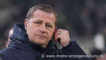 Bei Marmoush-Abschied: Bedient sich ehemaliger Co-Trainer beim FC Bayern?