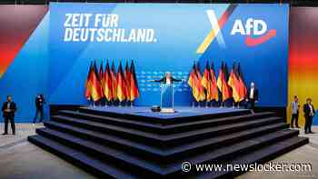 Duitse politie onderzoekt 'deportatietickets' op verkiezingsflyers AfD