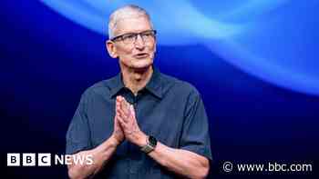 Apple pushes back on call to end  diversity programme