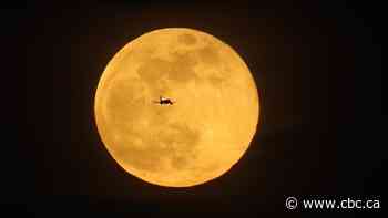 Kissing moons may explain why Earth's moon is so large