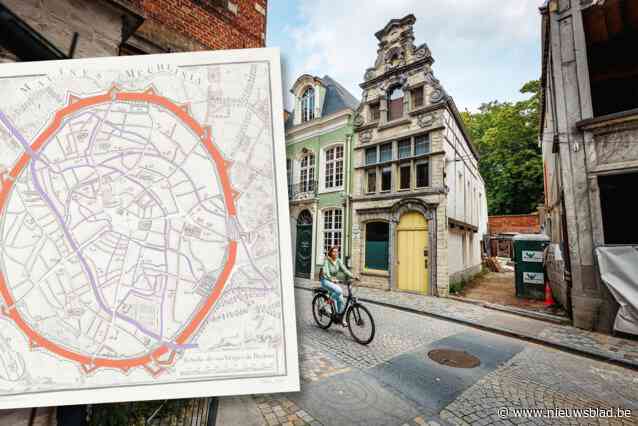 Geschiedenis Mechelse vlietjes leidt terug tot in twaalfde eeuw: “Ze moesten verdwijnen omwille van de ziektes die ze meebrachten”