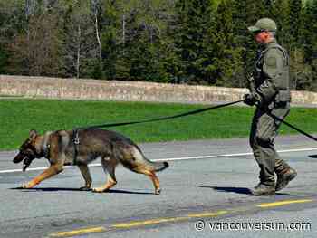 B.C. judge criticizes RCMP approach to using police dogs during arrests